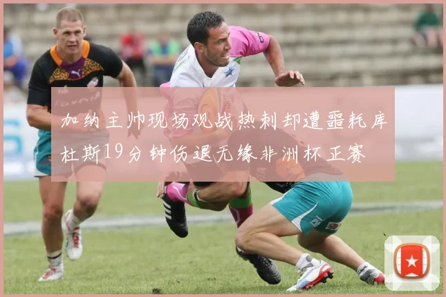 加纳主帅现场观战热刺却遭噩耗库杜斯19分钟伤退无缘非洲杯正赛