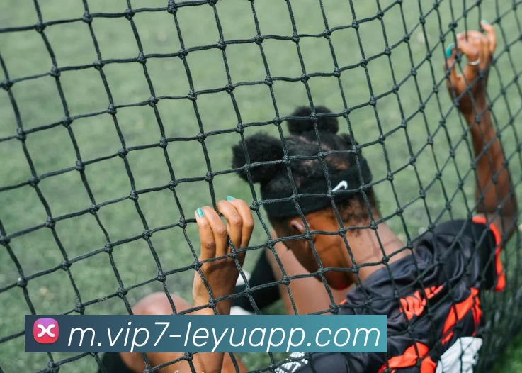 乐鱼体育APP 封面图